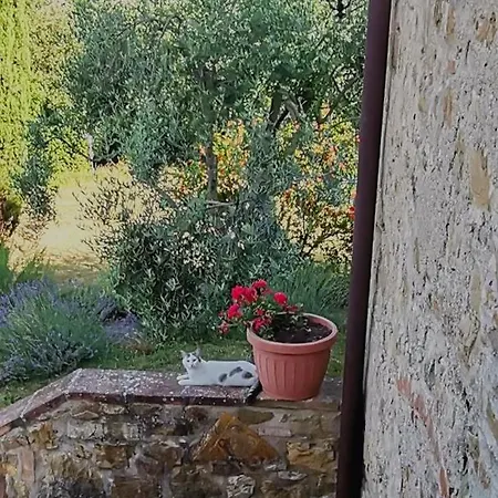 Borgo Mulignone *